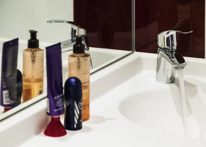 Ibis Budget מלון